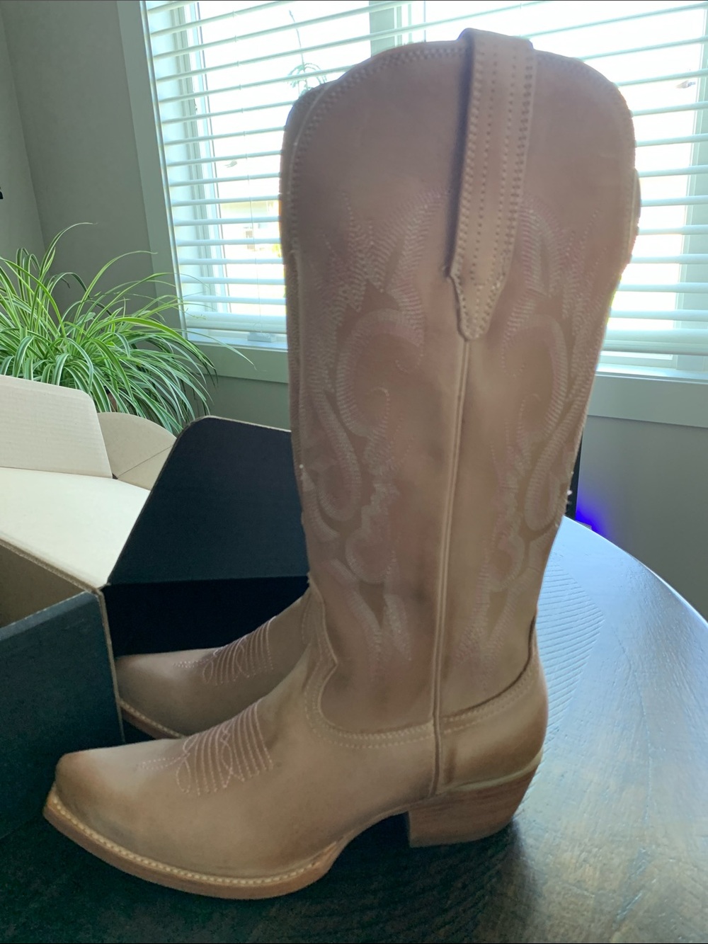freebird Woodland Tall Western Boots in Light Brown Blush 8